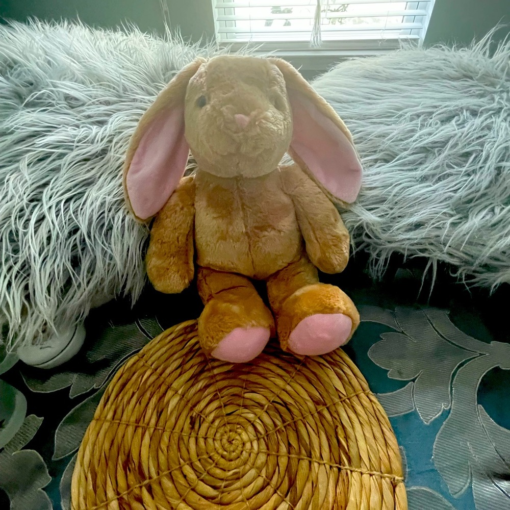 Adorable Build a Bear Bunny.